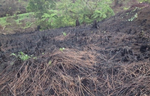 Fiji Land Degradation Project Launched